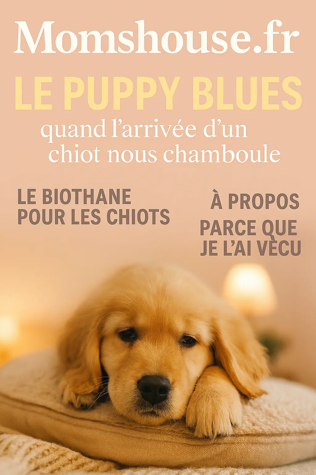 Le-Puppy-Blues-.-Le-magasine-N-4 Momshouse.fr