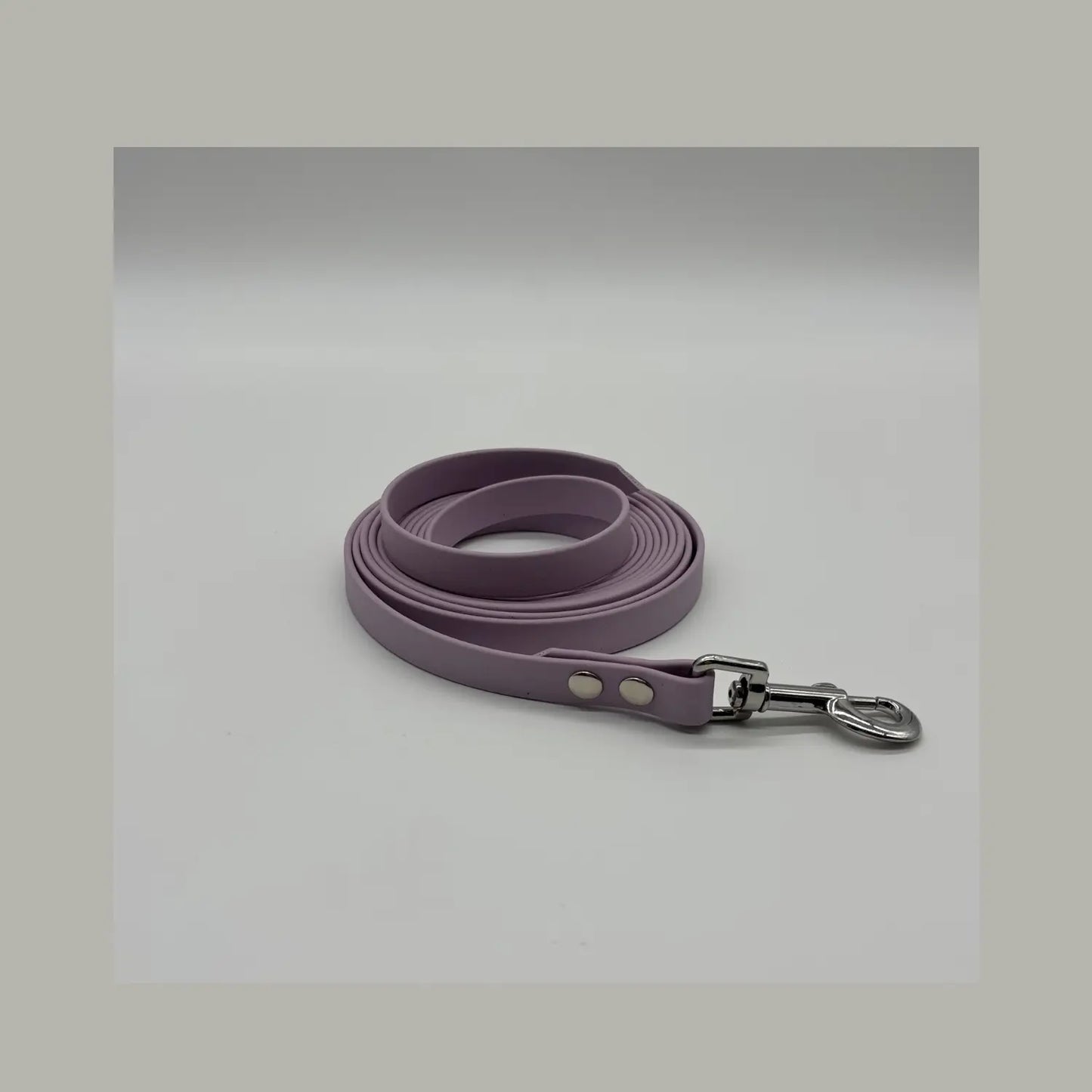 Longe Classique pour chien
