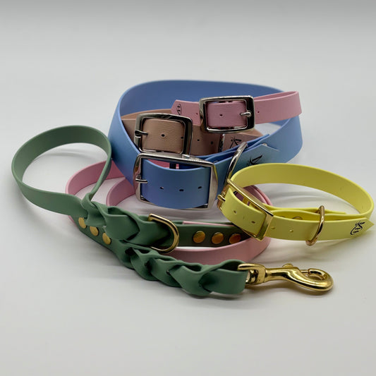 Tout pour nos chiens. Le magazine-N° 1