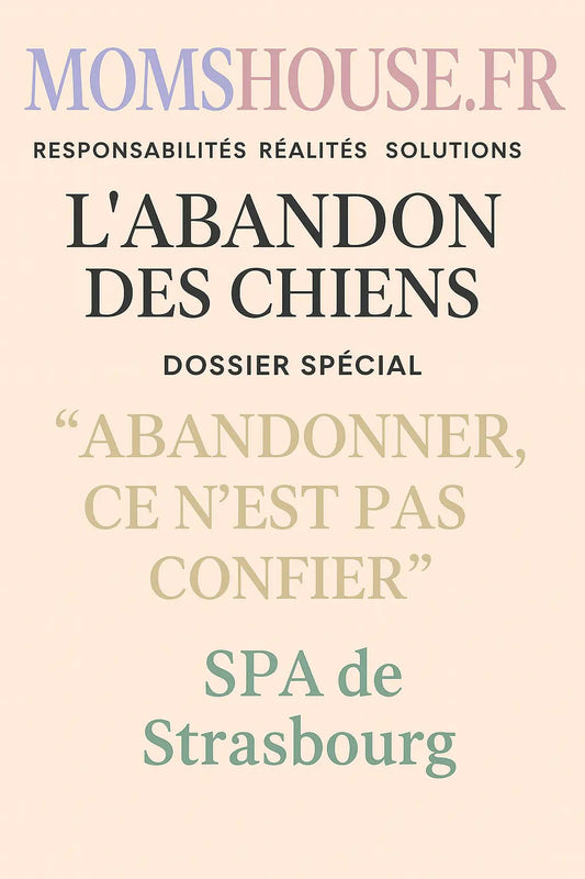 L-abandon-des-chiens.-Le-magasine-N-3 Momshouse.fr