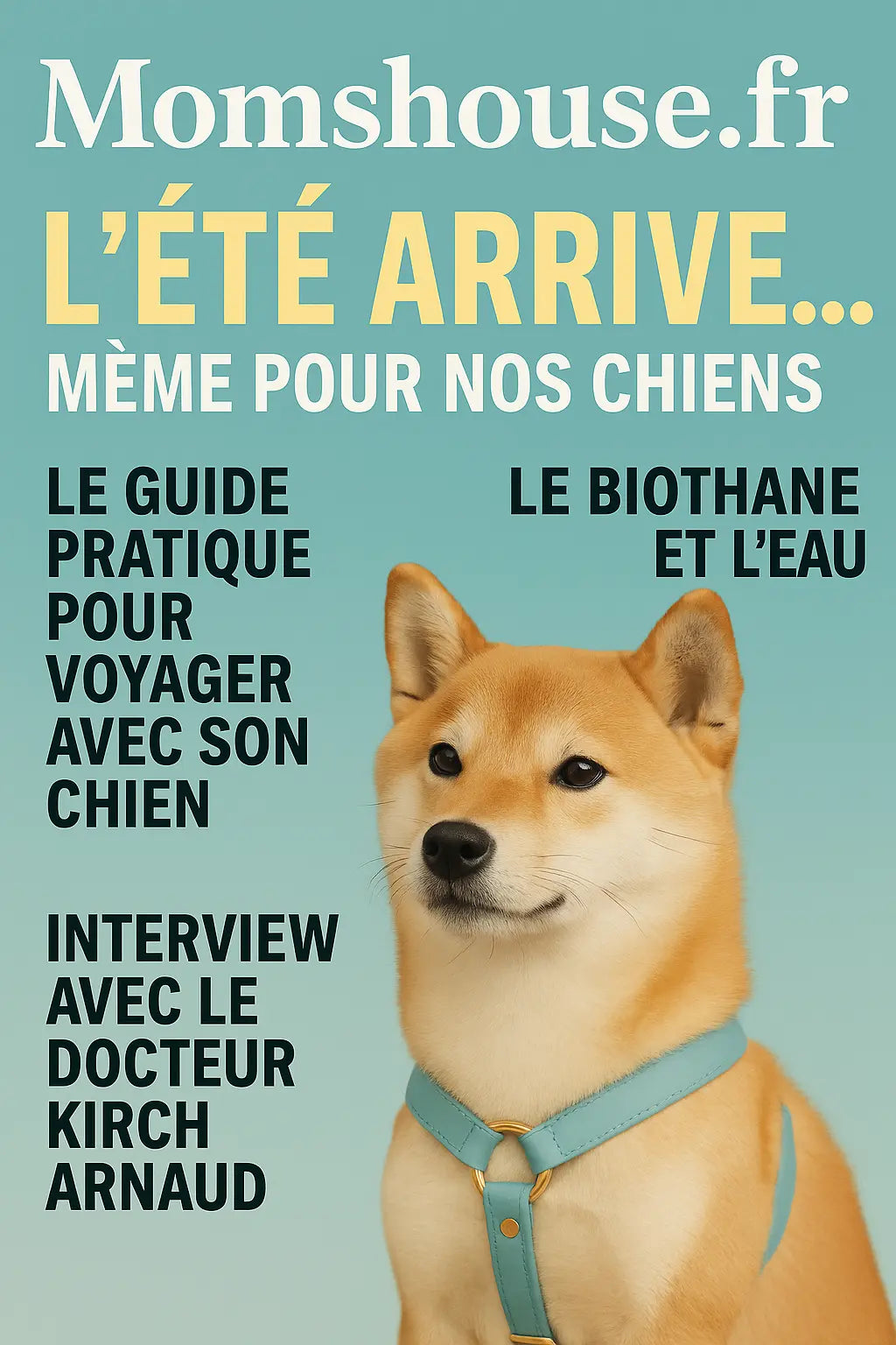 L-été-arrive.-Le-magazine-N-2 Momshouse.fr