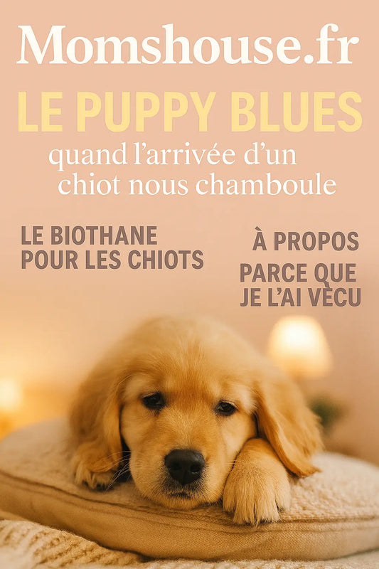 Le-Puppy-Blues-.-Le-magasine-N-4 Momshouse.fr