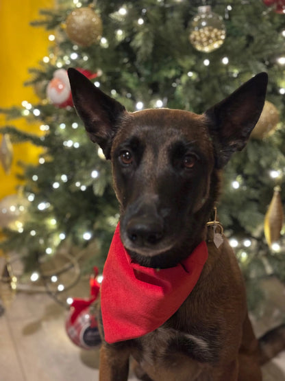 Bandana Momshouse.fr