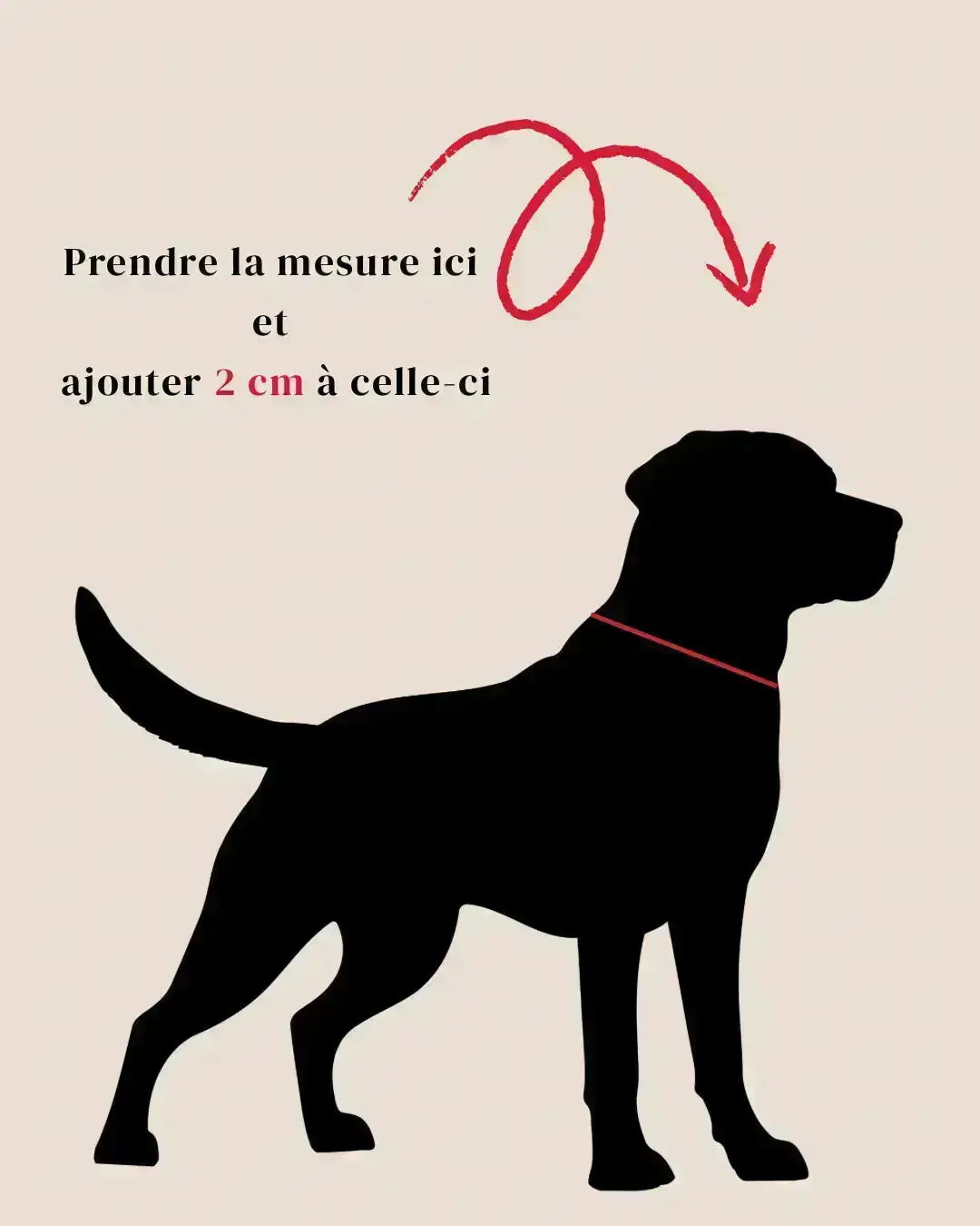 Colliers Classiques 16 mm Momshouse.fr