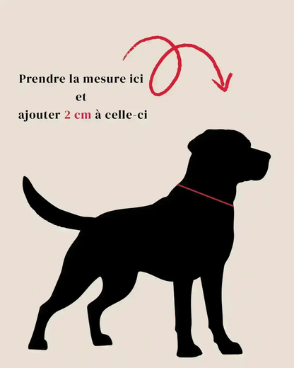 Colliers Classiques 16 mm Momshouse.fr