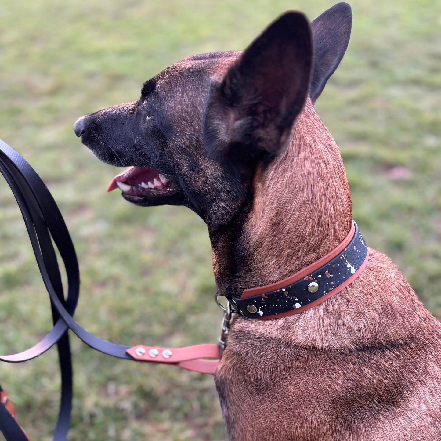 Collier Splash 2 Momshouse.fr