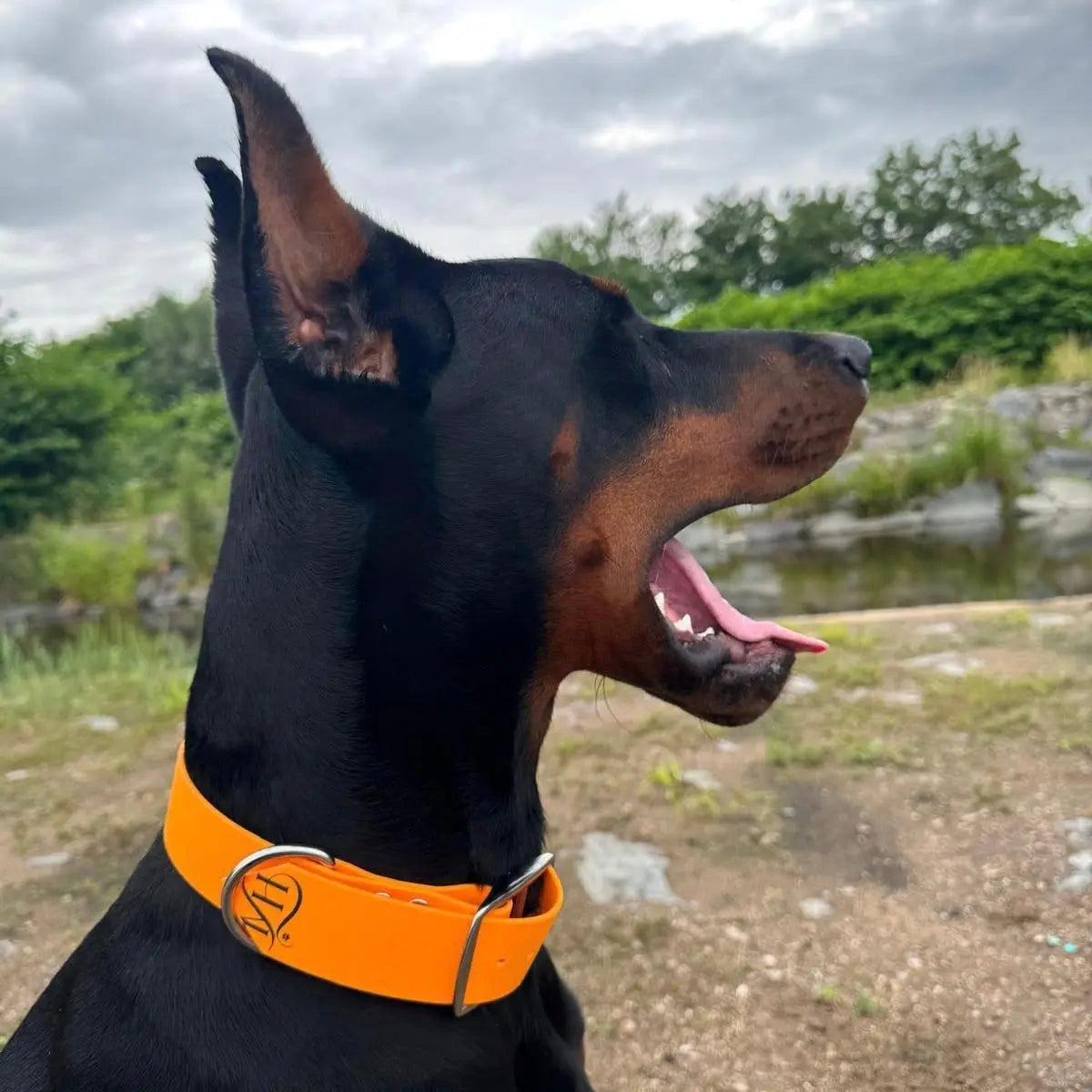 Colliers Classiques sur mesure xxl Momshouse.fr