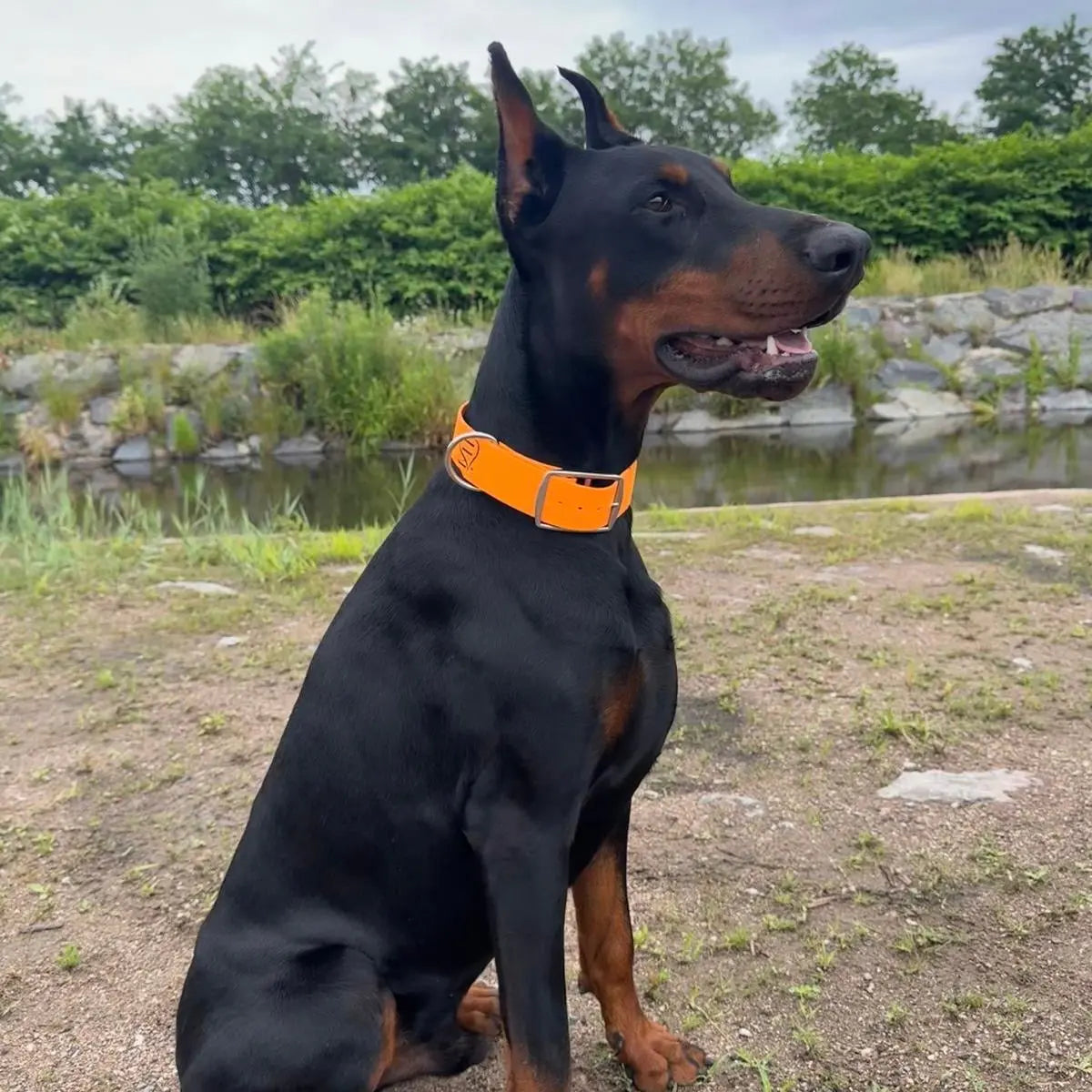 Colliers Classiques sur mesure xxl Momshouse.fr