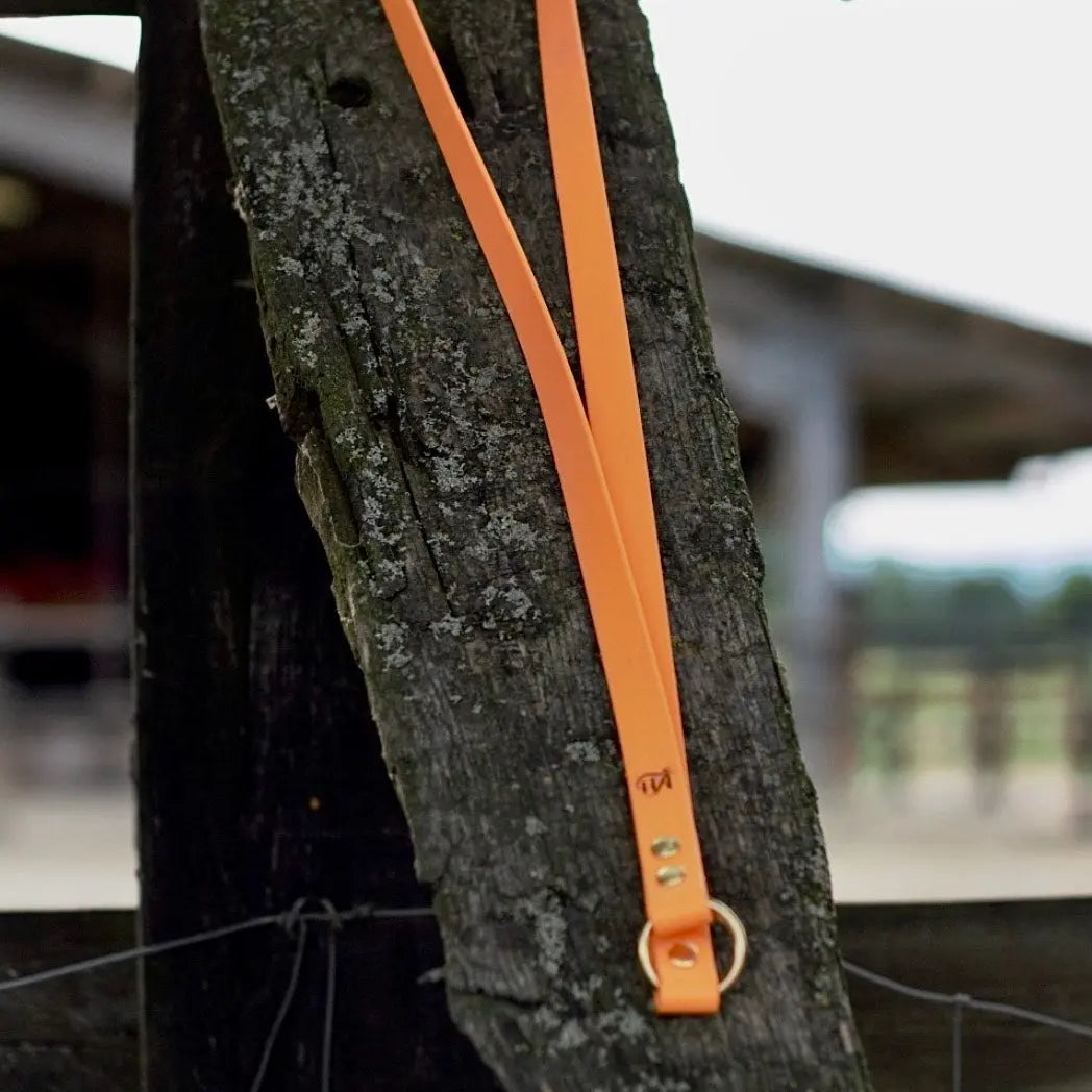 Cordelette Momshouse.fr