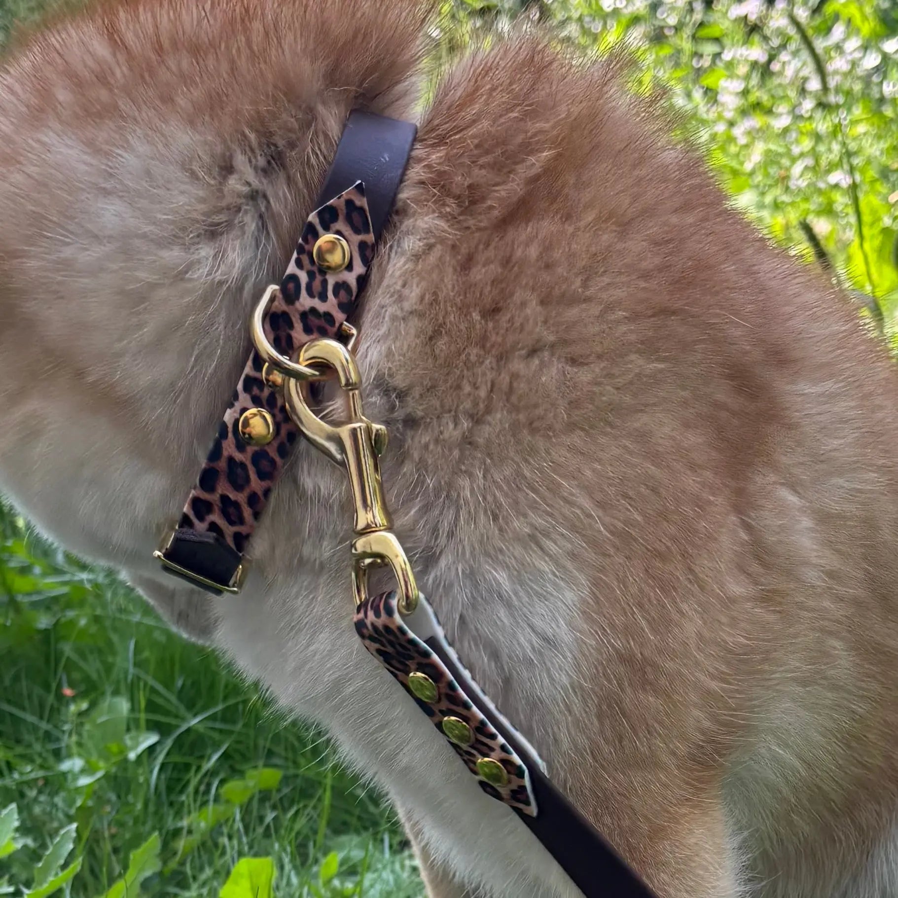 Ensemble Léopard Momshouse.fr