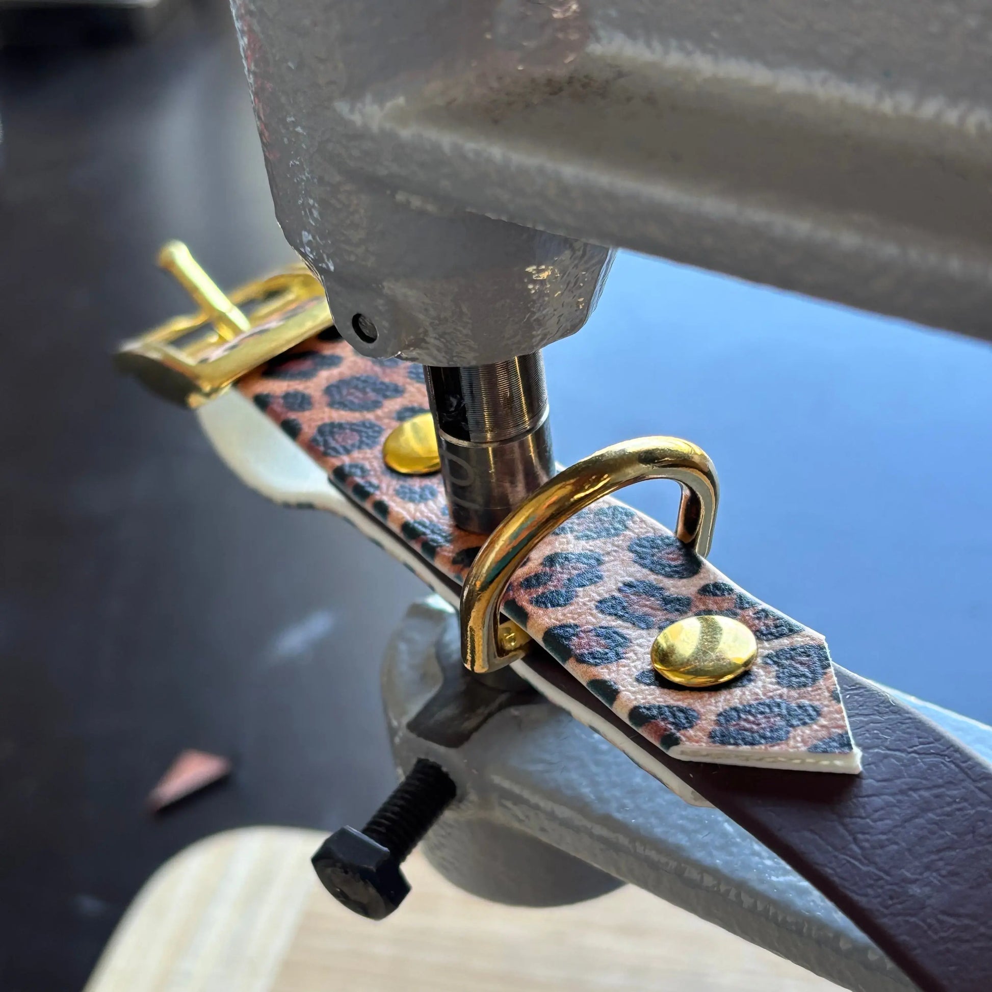 Ensemble Léopard Momshouse.fr