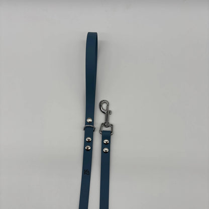 Laisses Classiques personnalisées