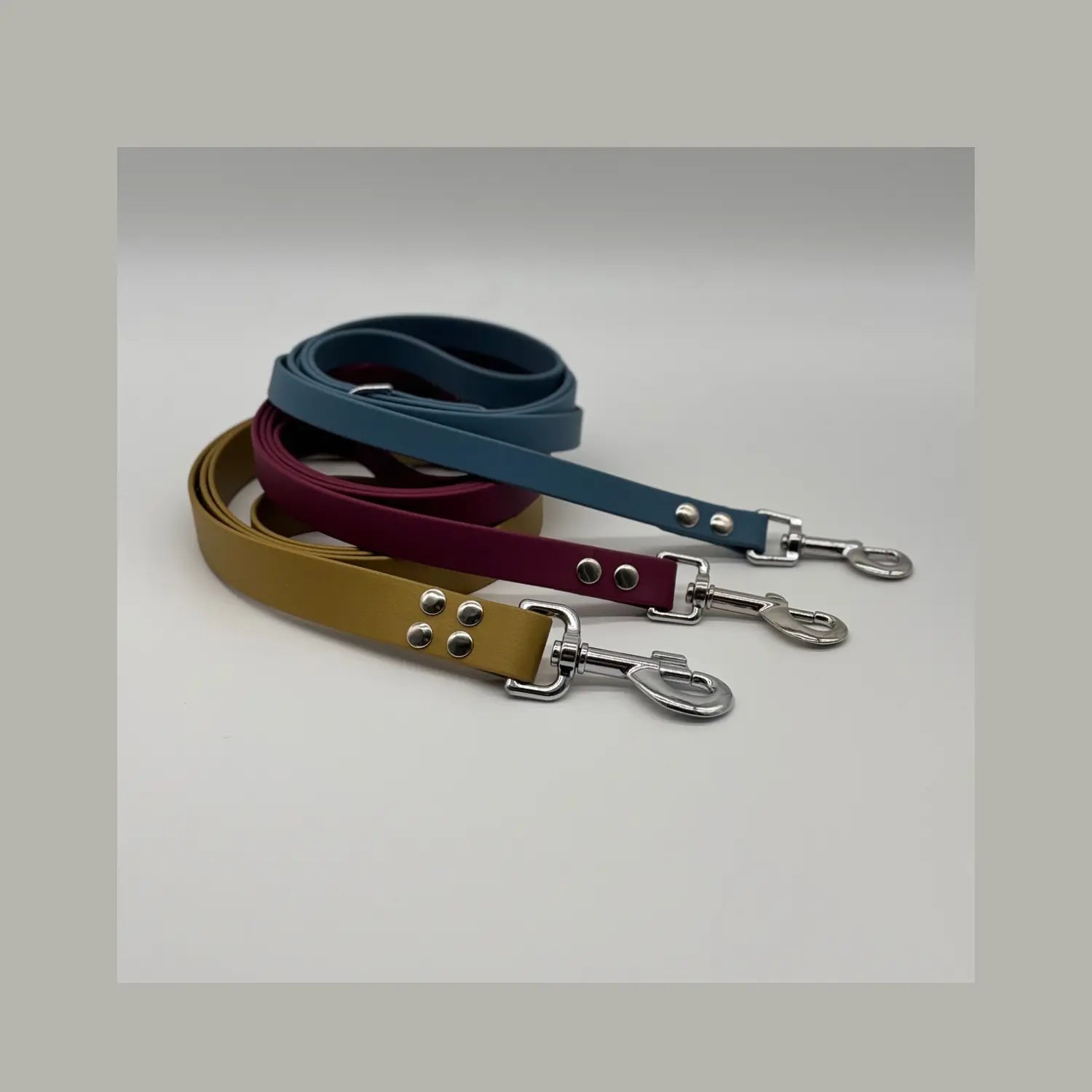 Laisses Classiques personnalisées