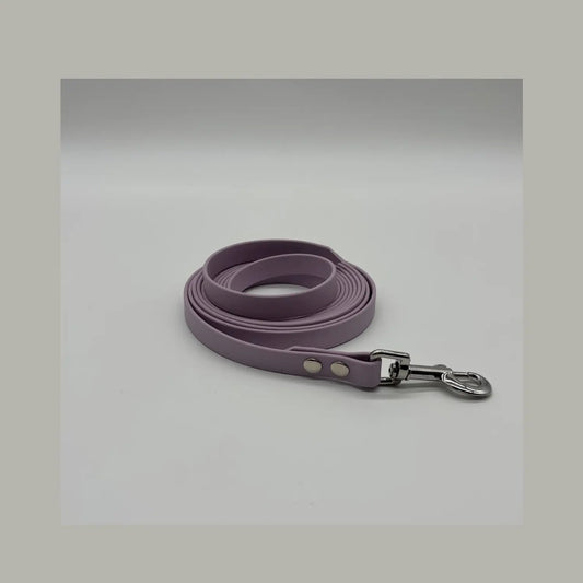  Longe Classique pour chien
