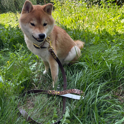 Laisse Marron et Léopard Momshouse.fr