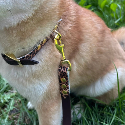 Laisse multi-positions Léopard Momshouse.fr