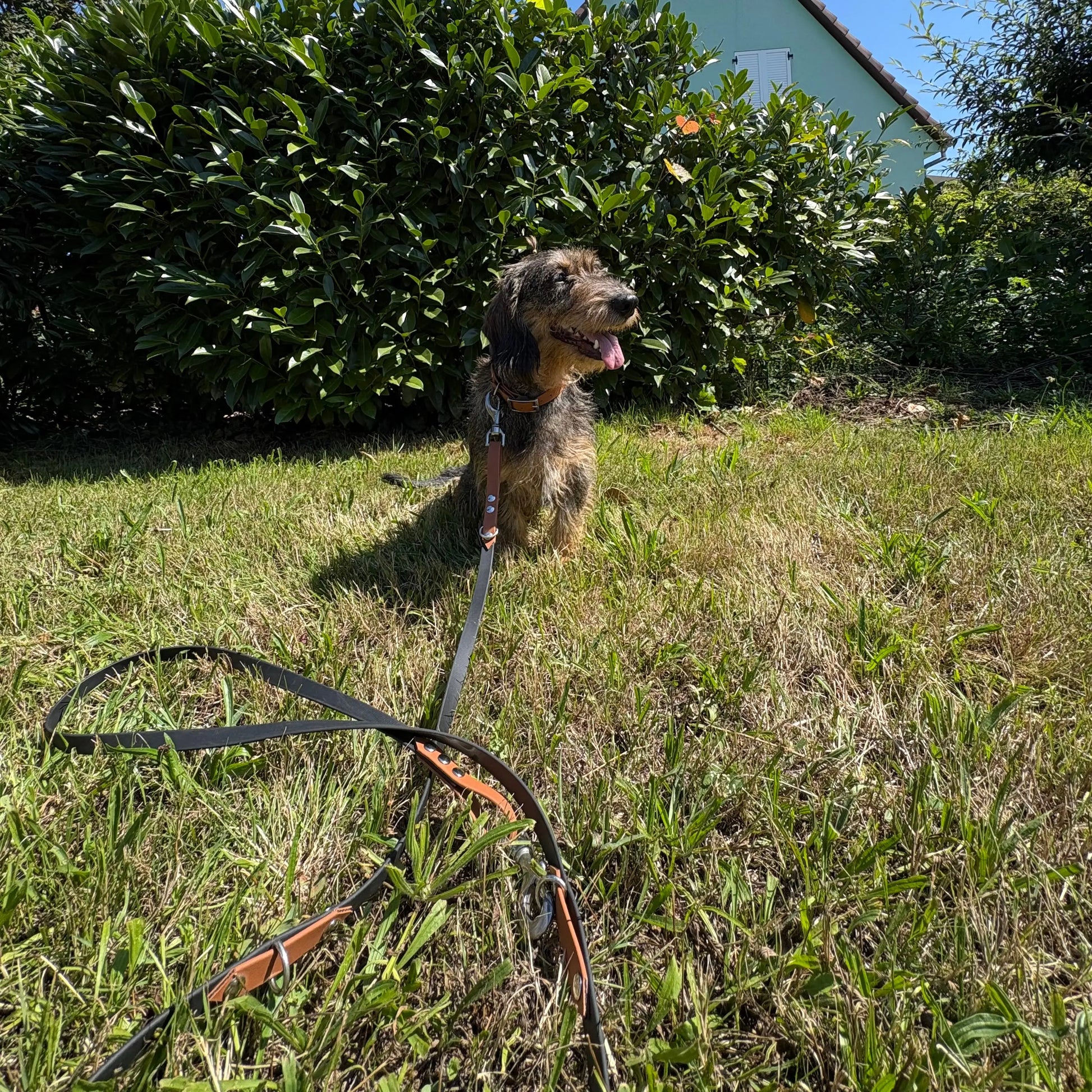 Laisse multi-positions Momshouse.fr