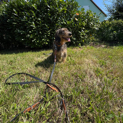 Laisse multi-positions Momshouse.fr