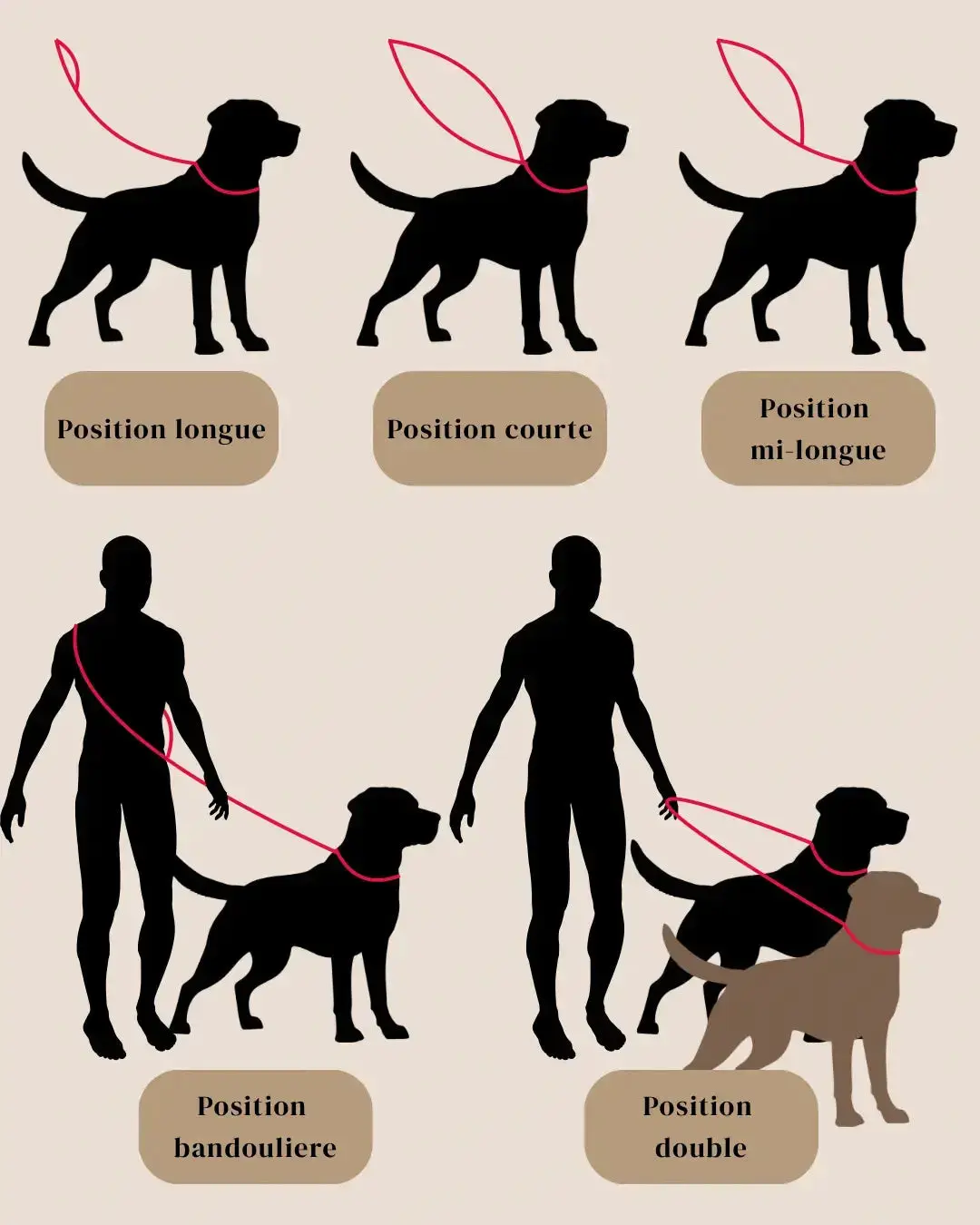 Laisses multi-positions Urban Nomad Momshouse.fr