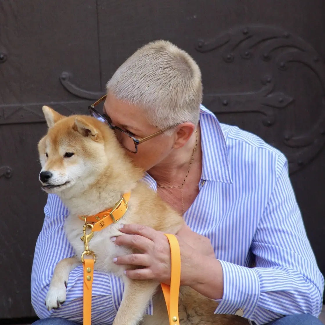 Laisses Classiques Momshouse.fr