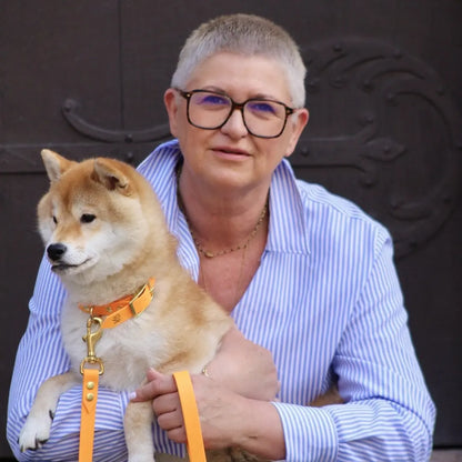 Laisses Classiques Momshouse.fr