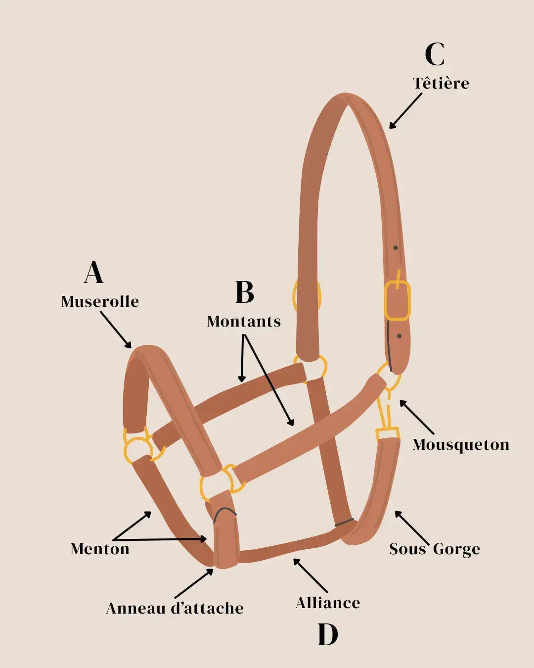 Licol Full Momshouse.fr