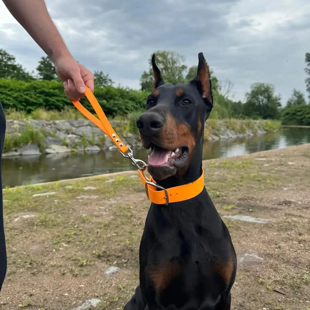 Colliers Classiques sur mesure xxl Momshouse.fr