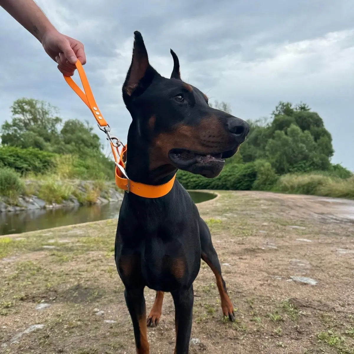 Poignée Classique Momshouse.fr