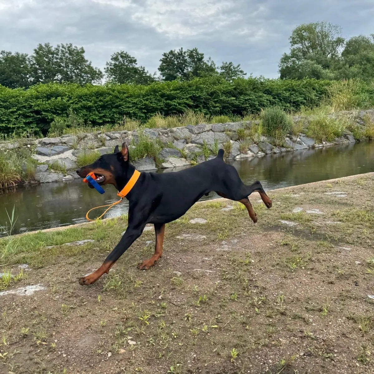 Poignée Classique Momshouse.fr