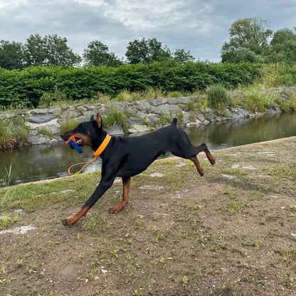 Poignée Classique Momshouse.fr